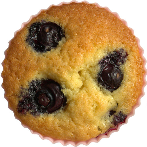 Blueberry cupcake